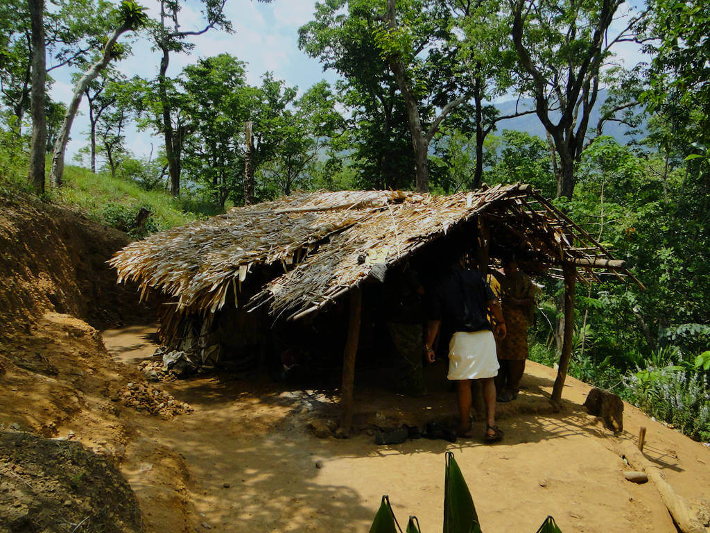 education campaign Kottoor Forest Area